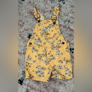 Oshkosh Bgosh Overalls 24 M